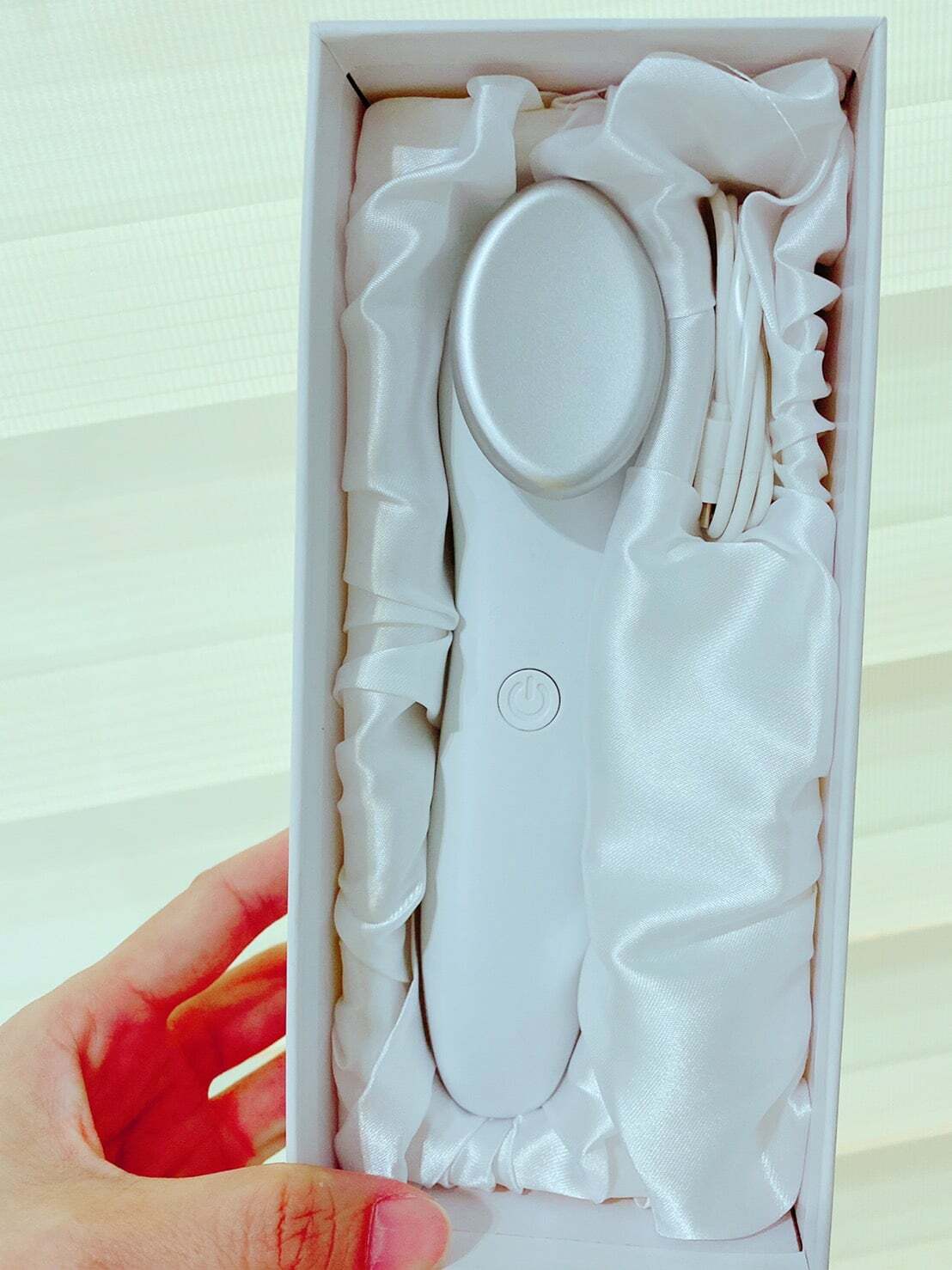 洪百榕 