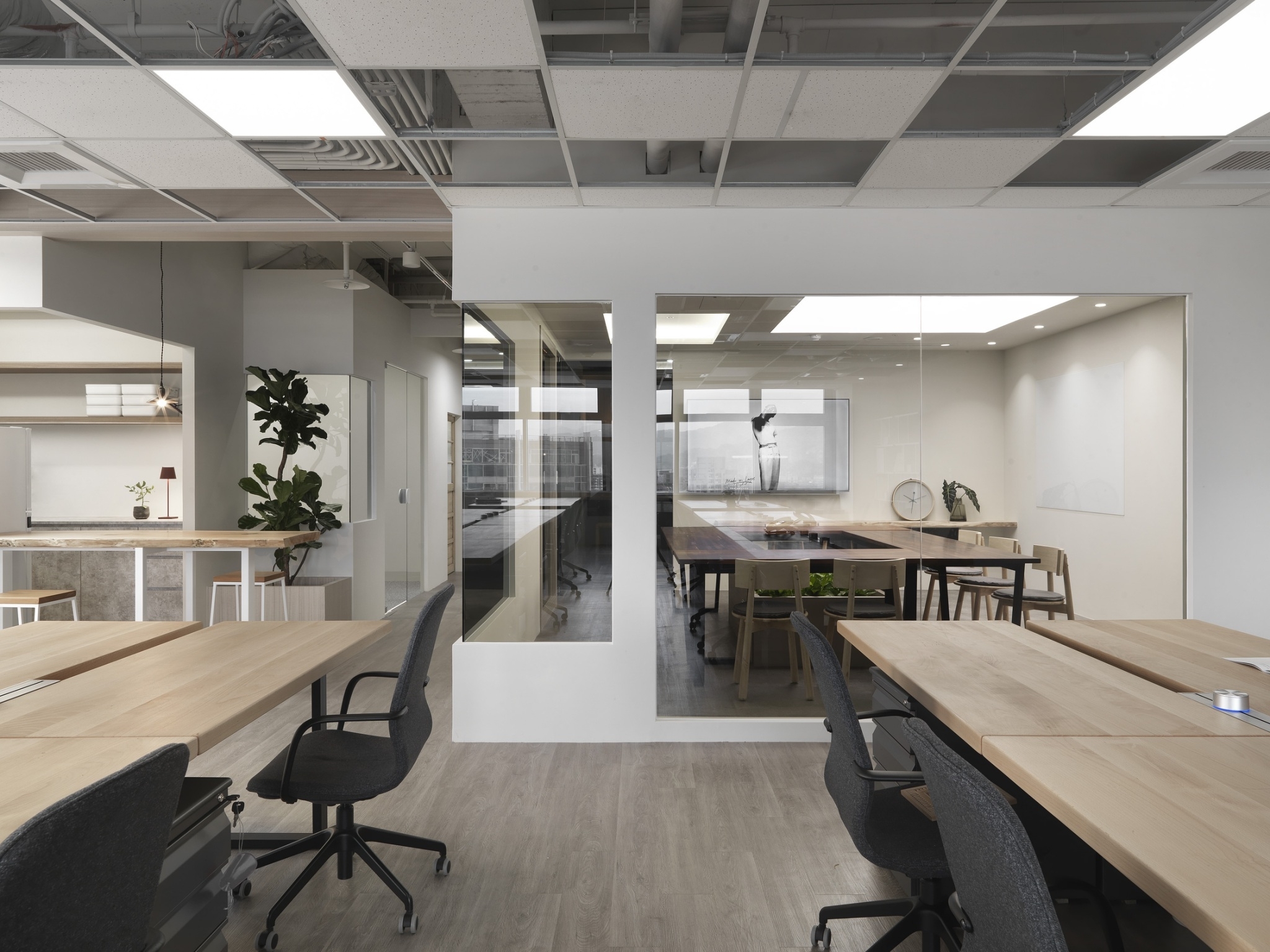 歐洲山毛櫸, 歐洲山毛櫸餐桌, 歐洲山毛櫸拼板,  歐洲山毛櫸拼板餐桌, 歐洲山毛櫸介紹, 歐洲山毛櫸是什麼, 歐洲山毛櫸拼板優點, 歐洲山毛櫸拼板缺點, 網紅推薦店家, 實木工廠