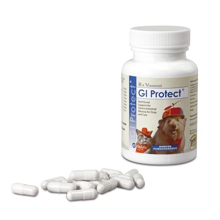 VETdicate GI Protect 60 capsules