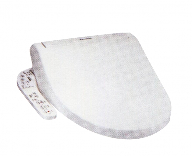 國際牌 儲熱式電腦馬桶座 DL-F610RTWS