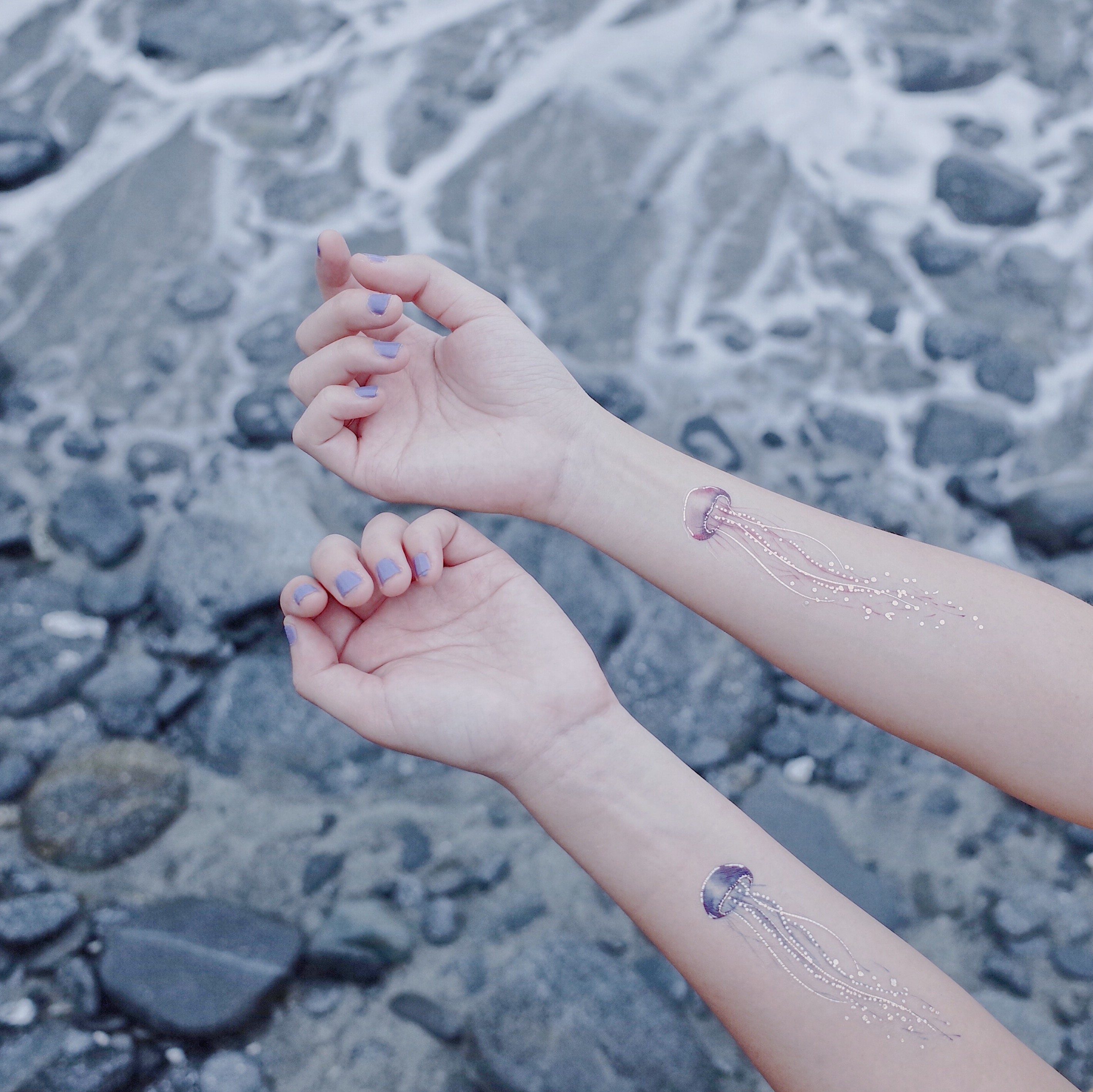 晶透水母 JELLYFISH