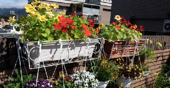 春播成果發表會