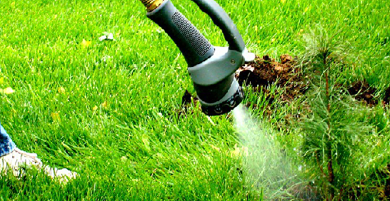 夏日澆水實戰教室