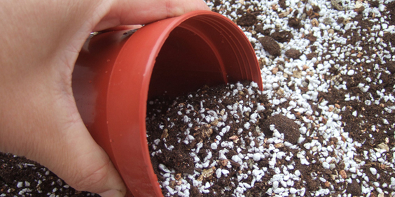 介質黃金比例大公開!