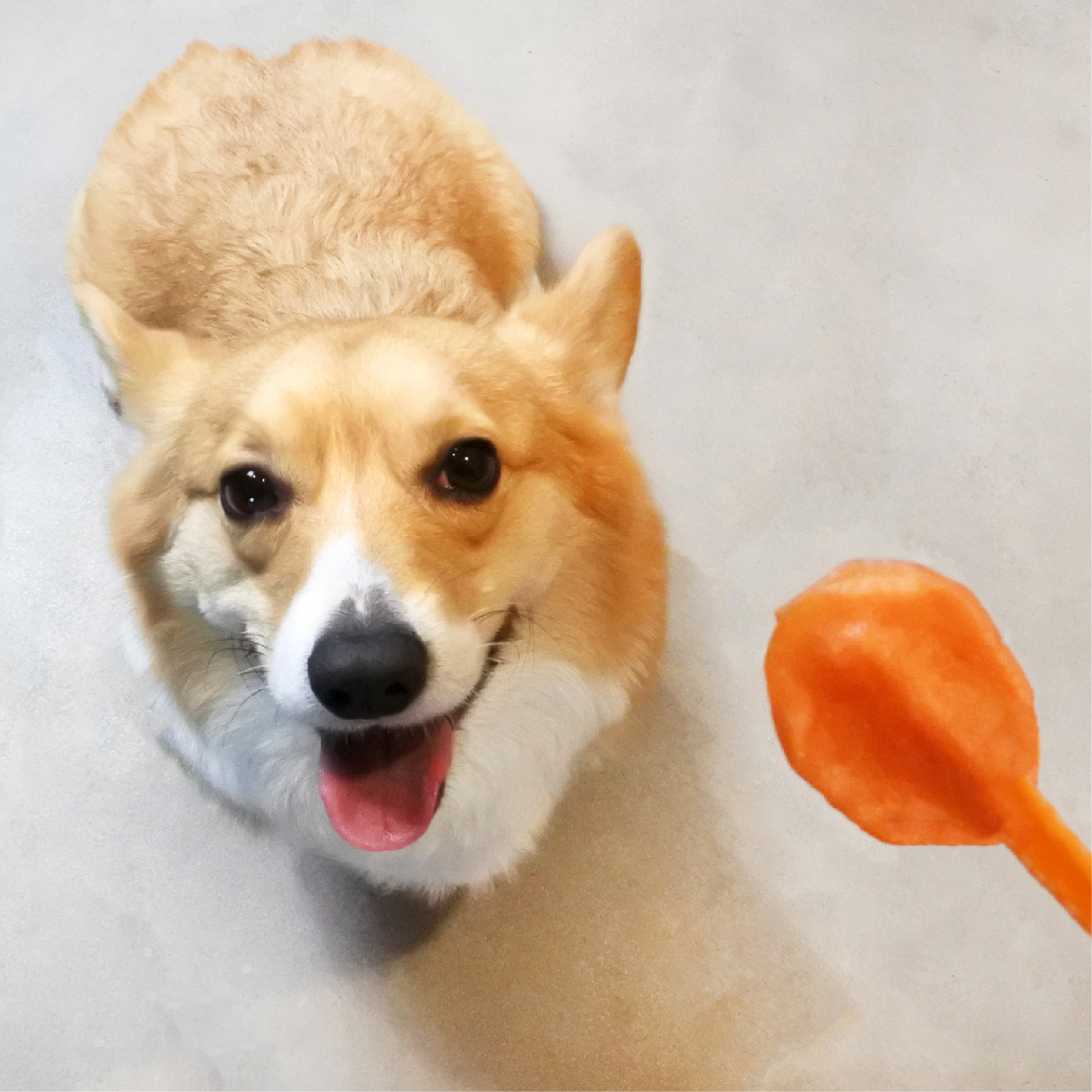 毛孩好棒棒－雞肉口味