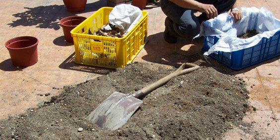 趁著晴天來曬土吧