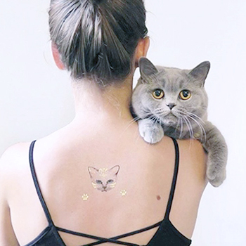 華麗藍貓 Meow