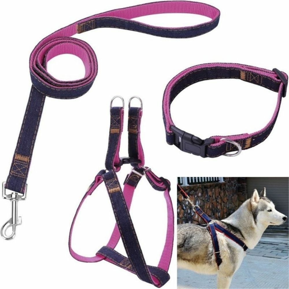 dog lead harness and collar