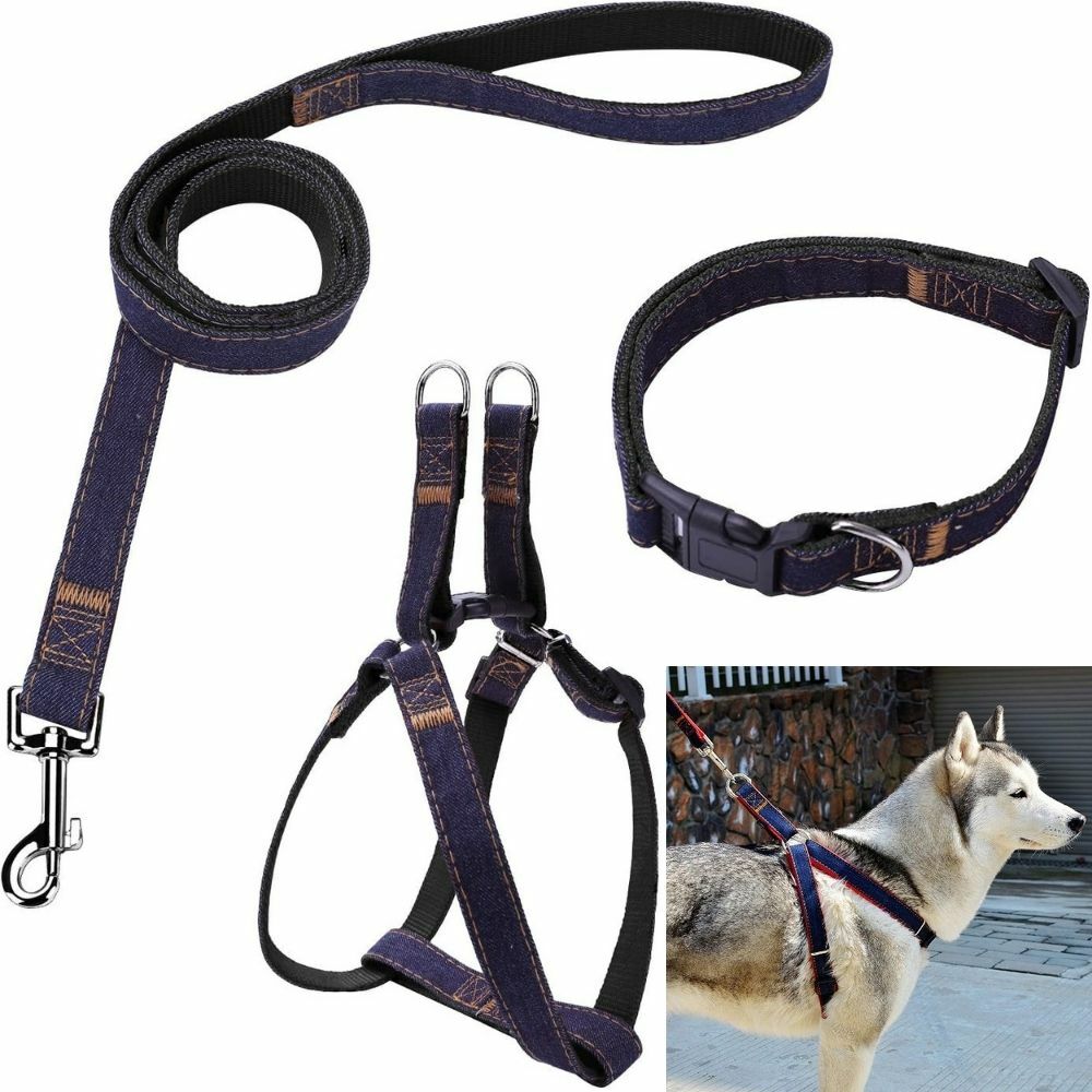 Adjustable Dog Puppy Collar and Lead Set 100 cm lead and 30 cm collar 