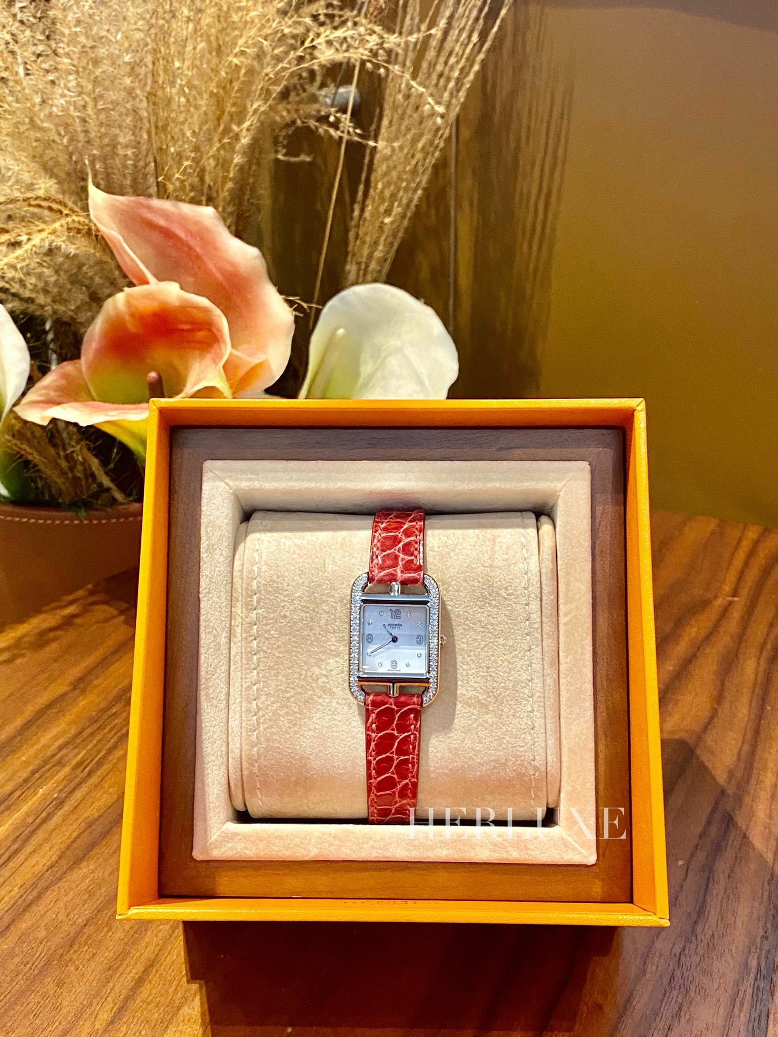 Cape cod 31mm 46D 0.41ct 95 braise acier alligator lisse PM