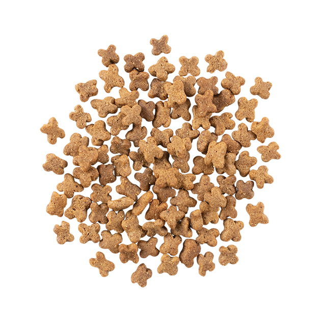 NOW - 鮮肉無穀-小型老犬/體控犬糧