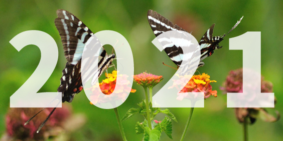 2021 iGarden 花園報