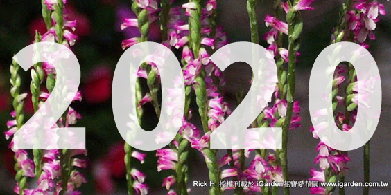 2020 iGarden 花園報