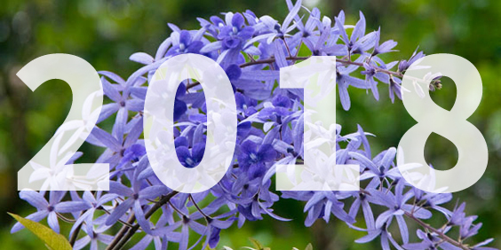 2018 iGarden 花園報