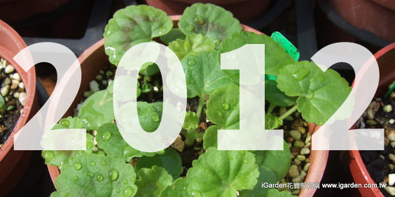 開站-2012 iGarden 花園報