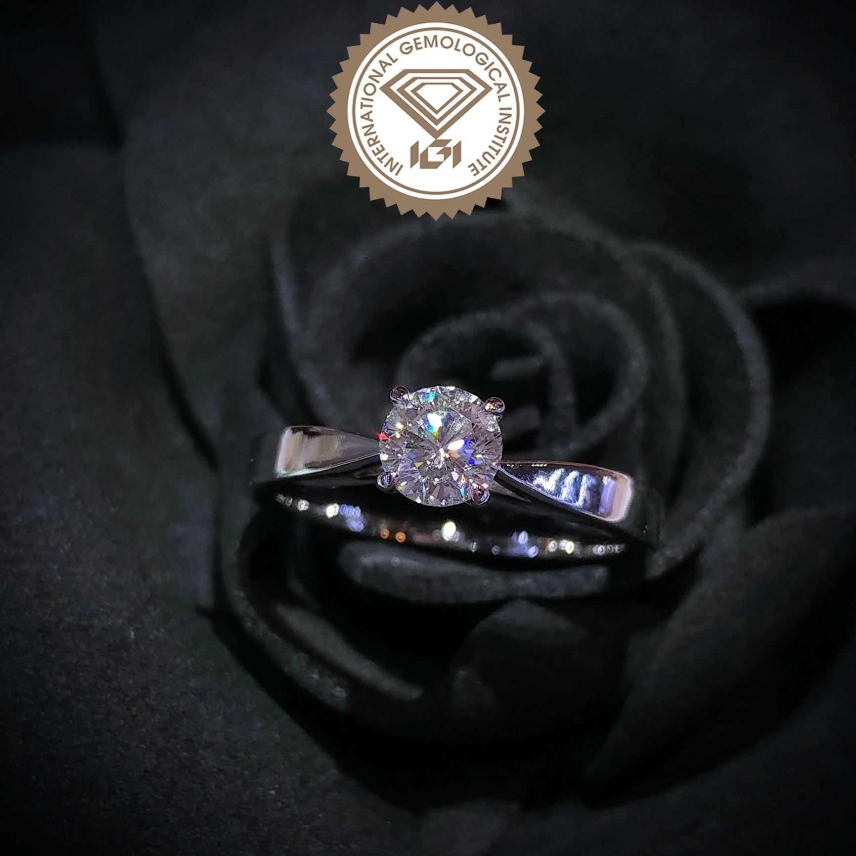 18K White Gold 0.50ct Diamond Ring