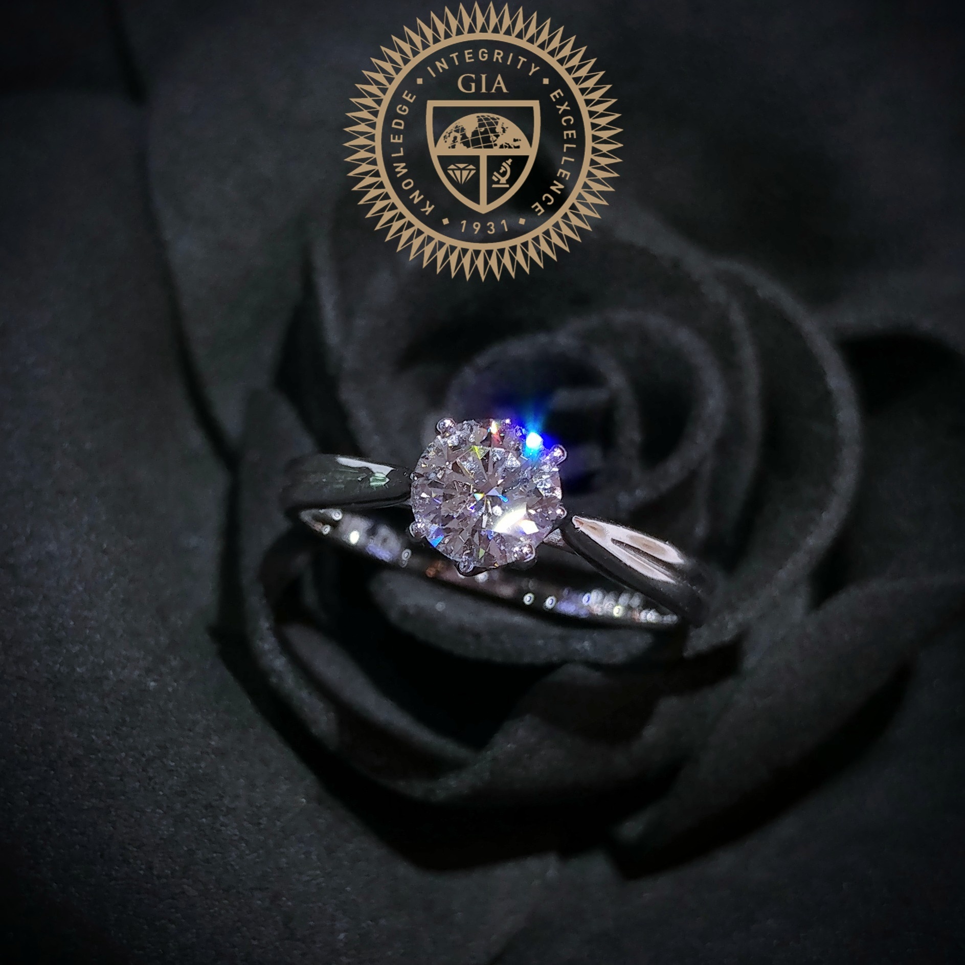 18K White Gold 0.64ct GIA Diamond Ring