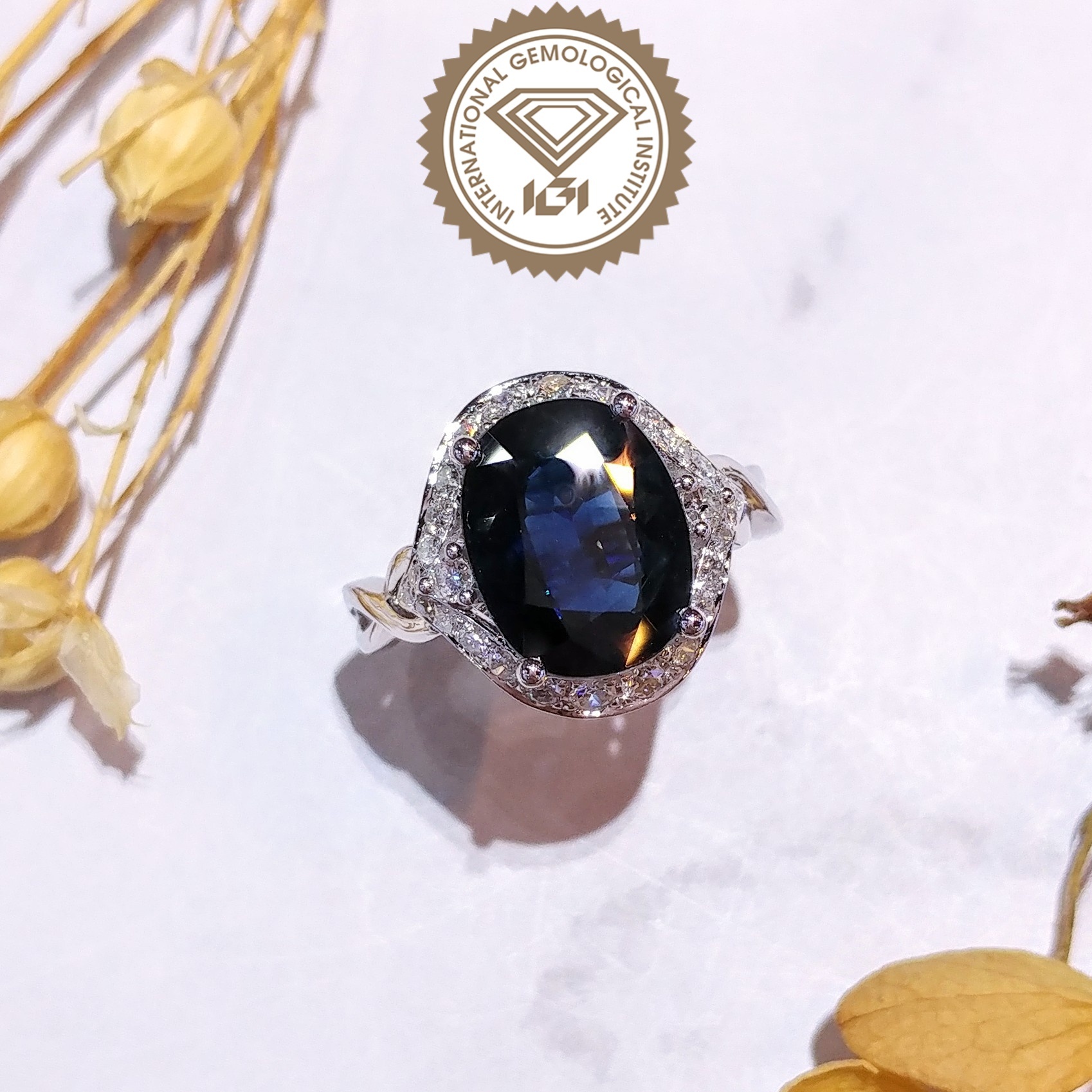 18K White Gold 3.76ct Sapphire and Diamond Ring