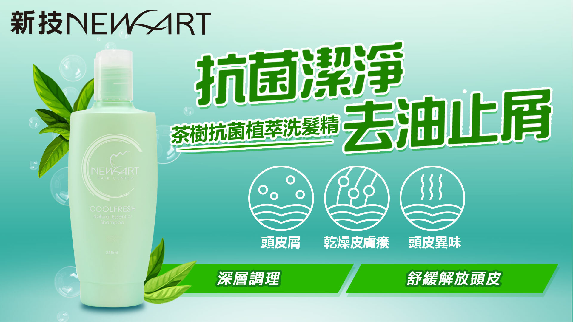 抗菌去屑去油茶樹洗髮精