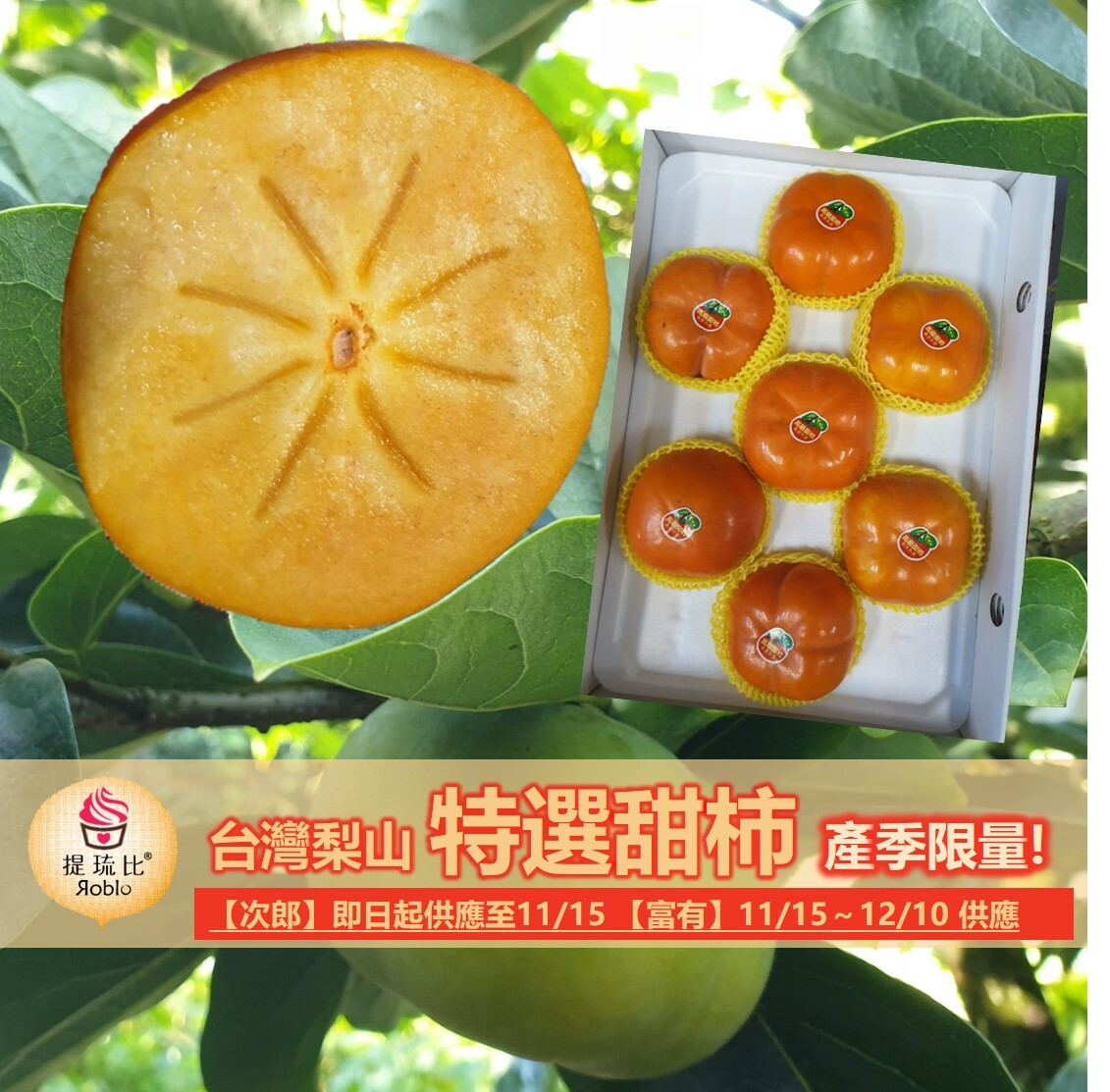 ★每年11~12月限定，歡迎來訊預購★ 梨山特選甜柿子 (次郎&富有)｜ 別錯過~當季產地直送！錯過再等一年~