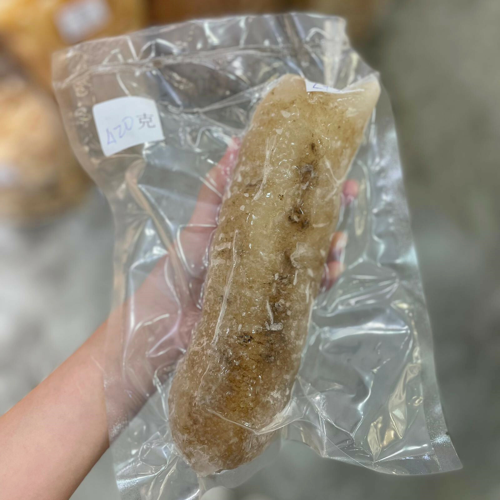 急凍沙參 $450/斤【由於每一隻的克數唔同，需要致電：25591097 查詢，或者WhatsApp ：98867492購買】