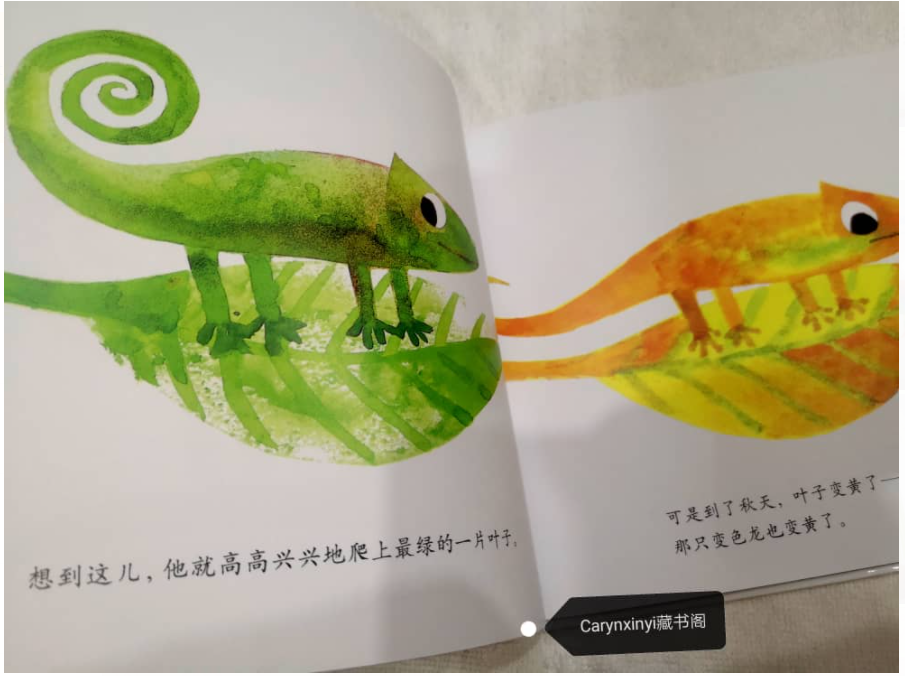 cs 自己的颜色（精装绘本）