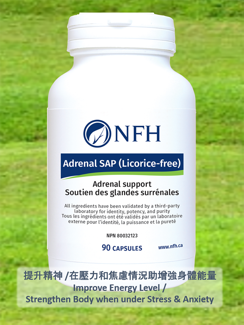 NFH 腎上腺(無甘草)膠囊 (90粒) - 腎上腺支持營養素 - (基於科學及醫療專家知識研製）