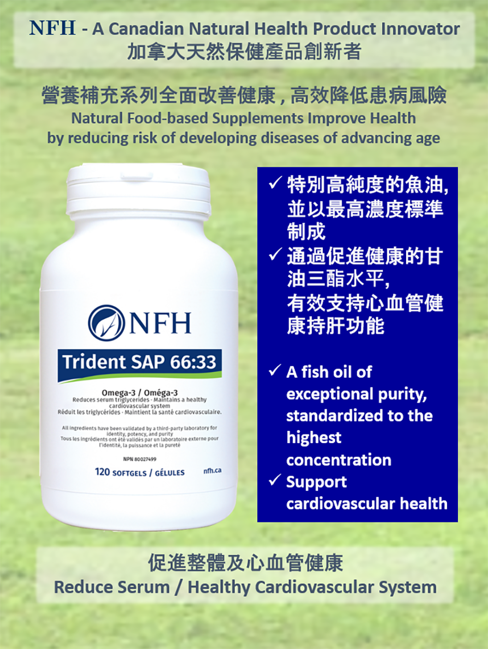 NFH Trident SAP 66:33 特別高純度 Omega-3 魚油 軟膠囊 (120粒) - 促進整體及心血管健康 (基於科學及醫療專家知識制定)