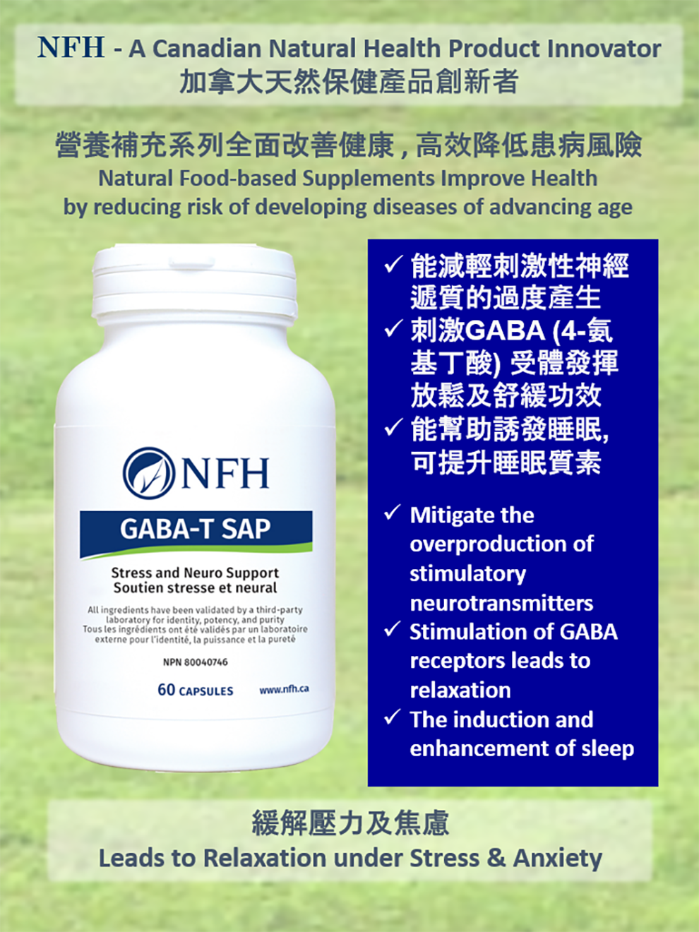 NFH Gaba-T γ-氨基丁酸 膠囊 (60粒) - 緩解壓力和焦慮 (基於科學及醫療專家知識硏製）
