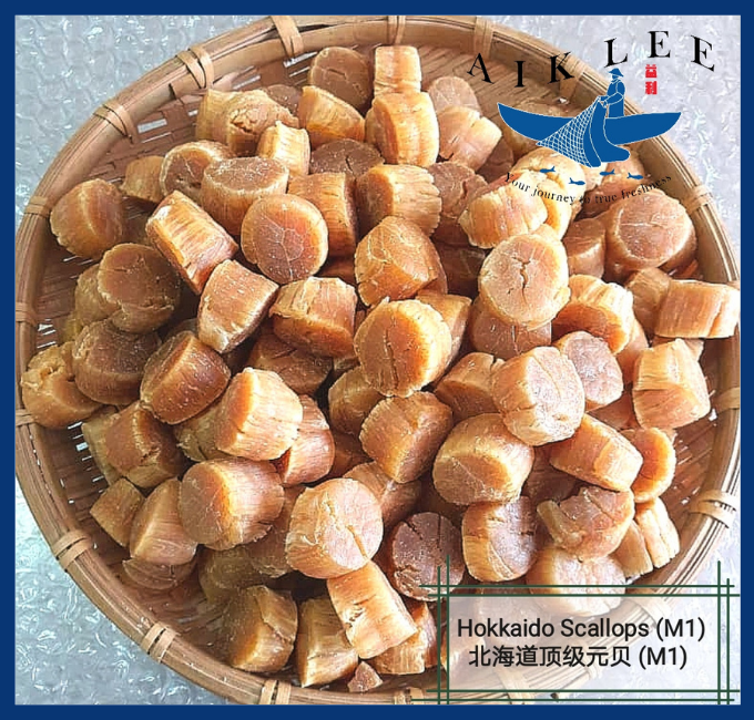 Hokkaido Dried Scallop (M1 Grade)