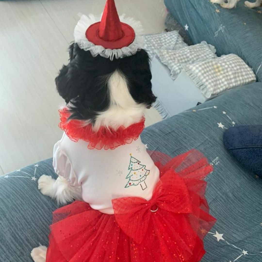 Christmas Tree Ruffle Red Dress (excluded Hat)