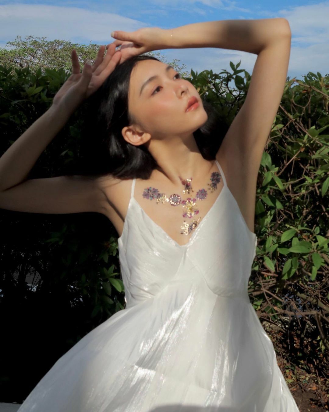 紫羅蘭與蝶 Viola Butterfly