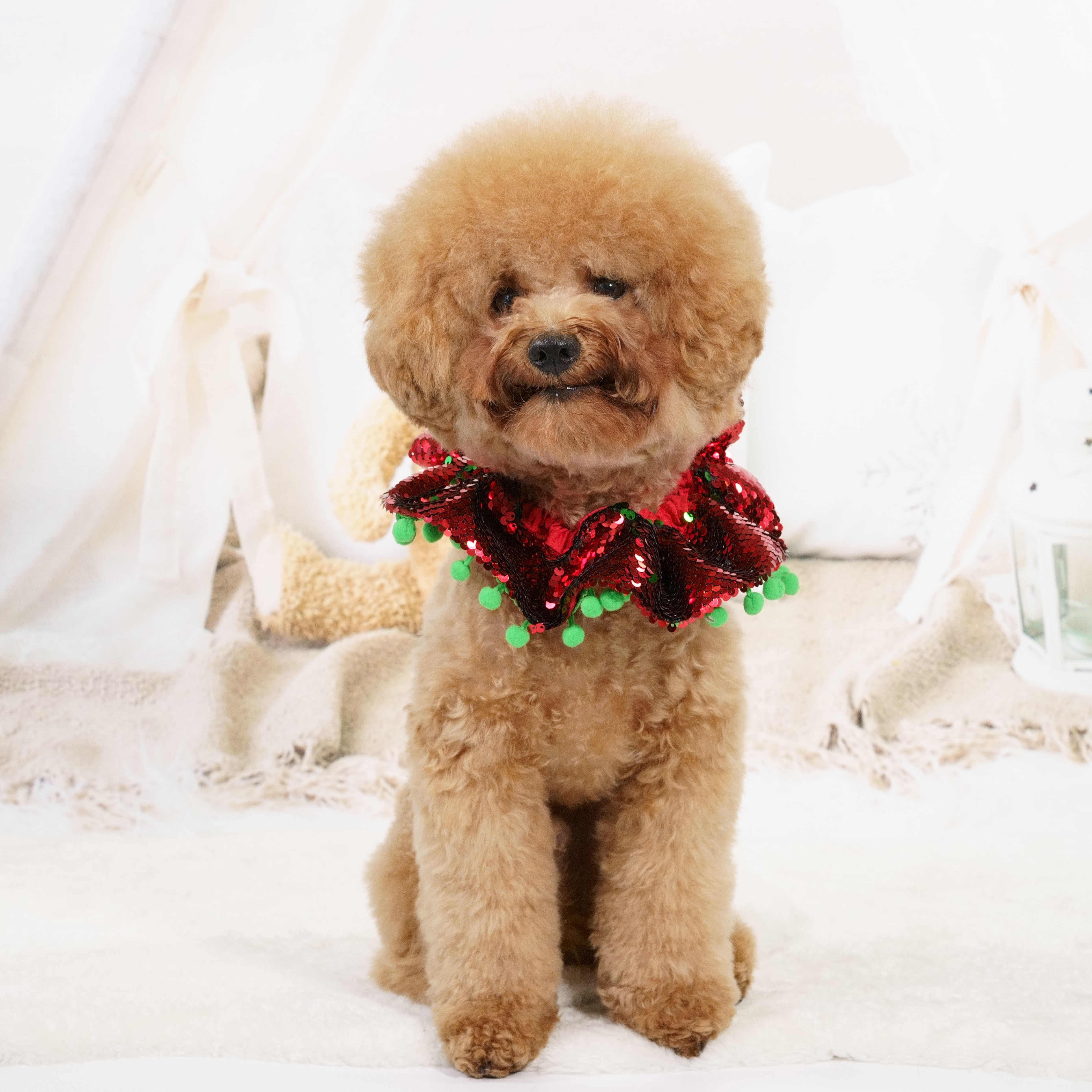 Red Sequins Christmas Collar with Green Pom Pom