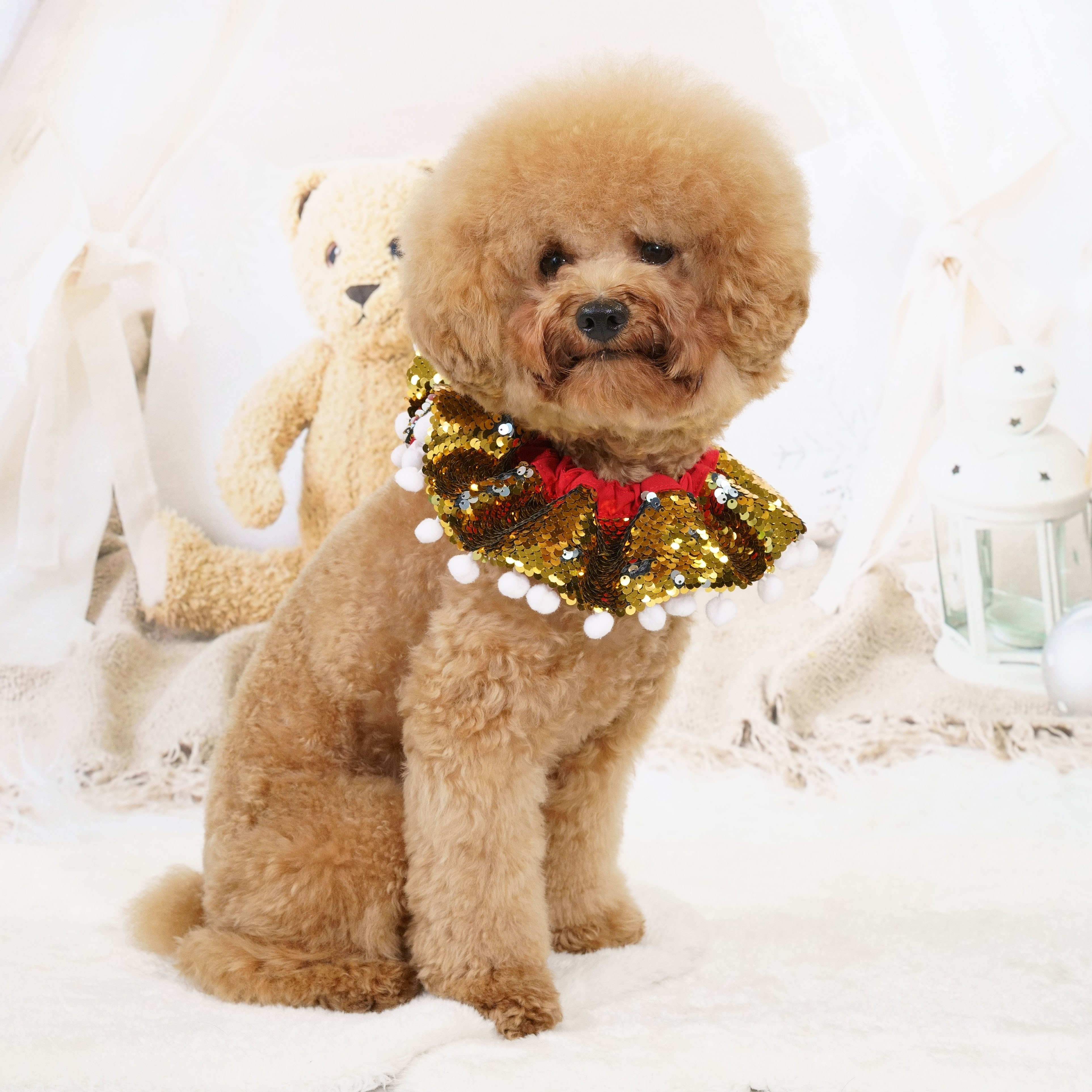 Gold Sequins Christmas Collar