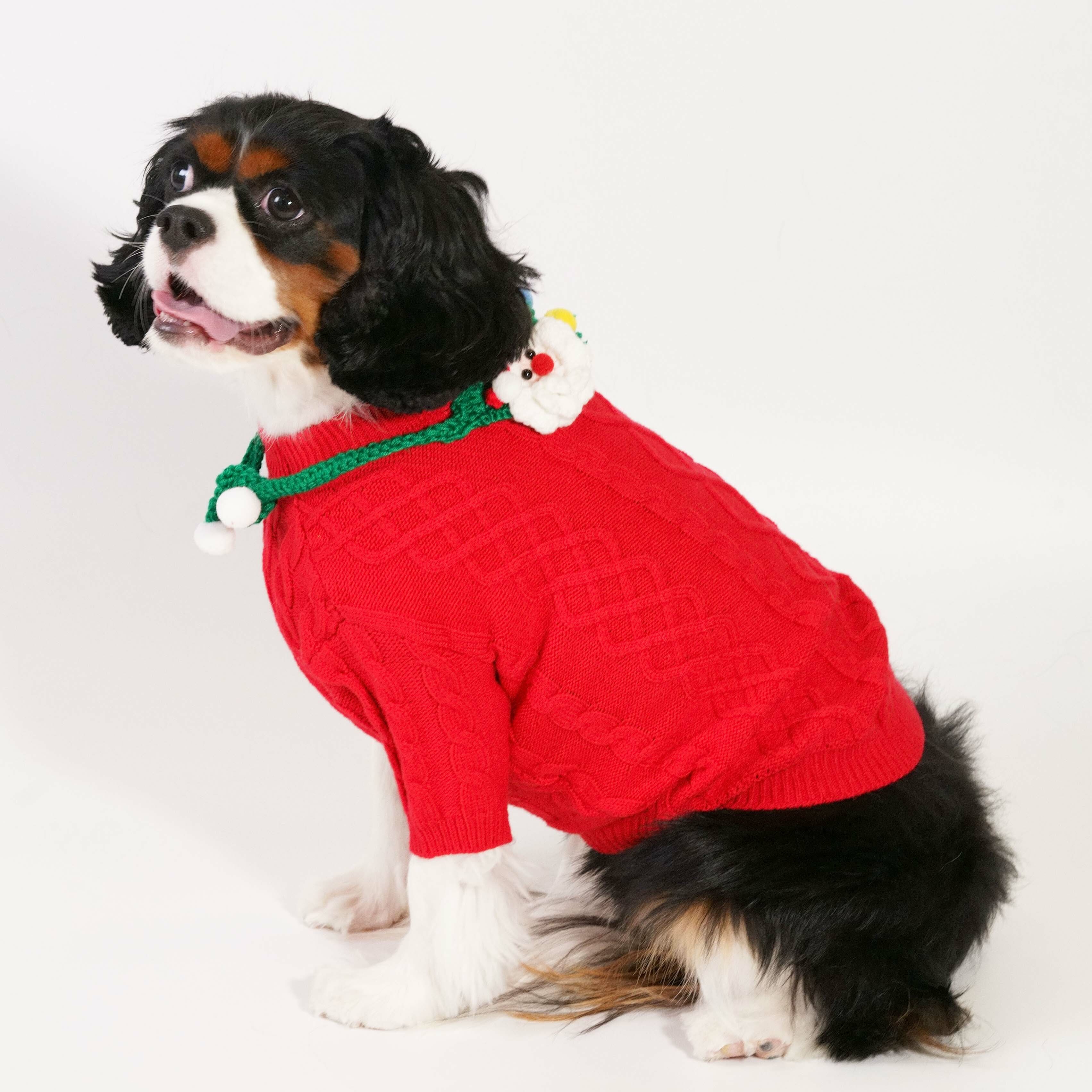 Lovely Santa Sweater