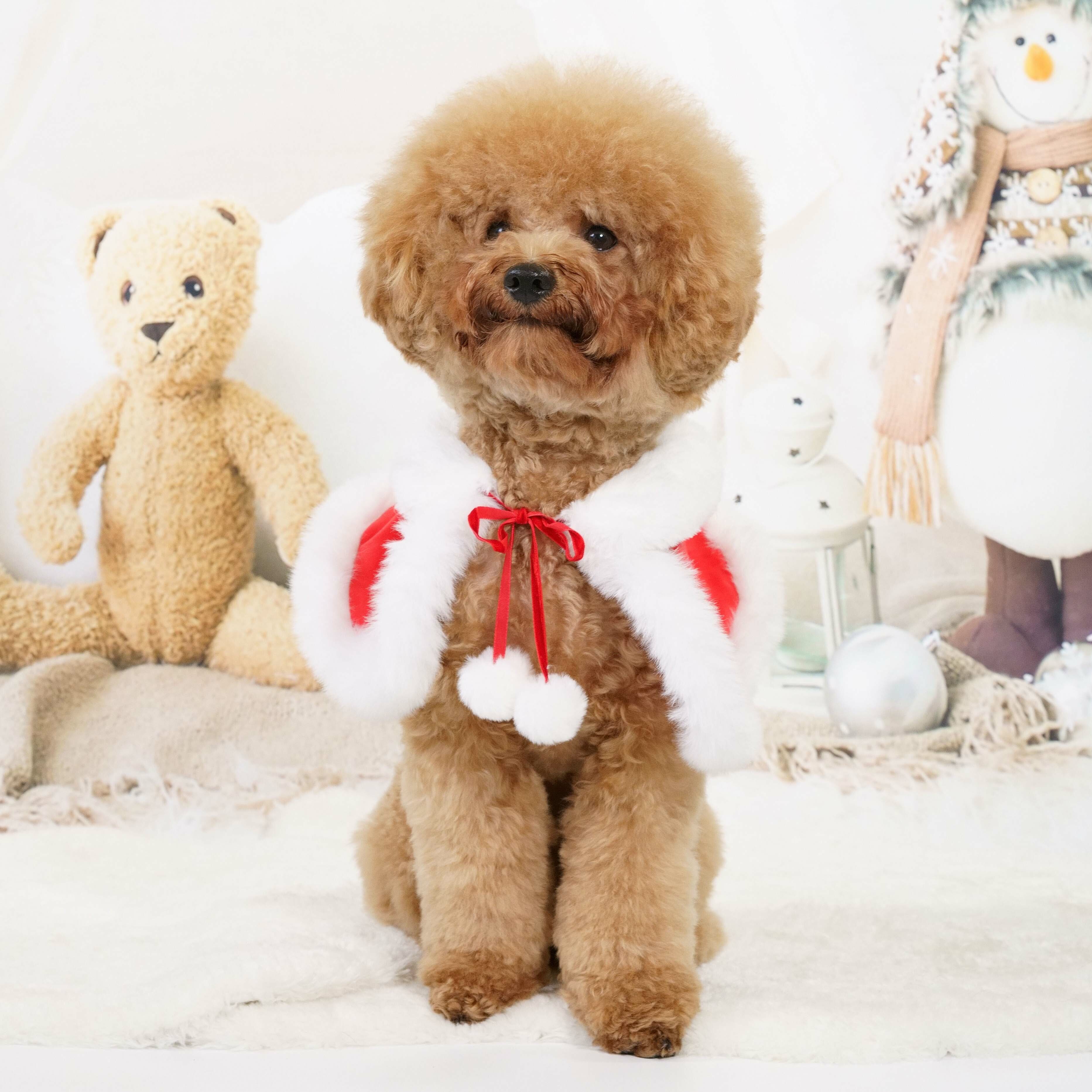 Sparkle Snowflake Christmas Cape