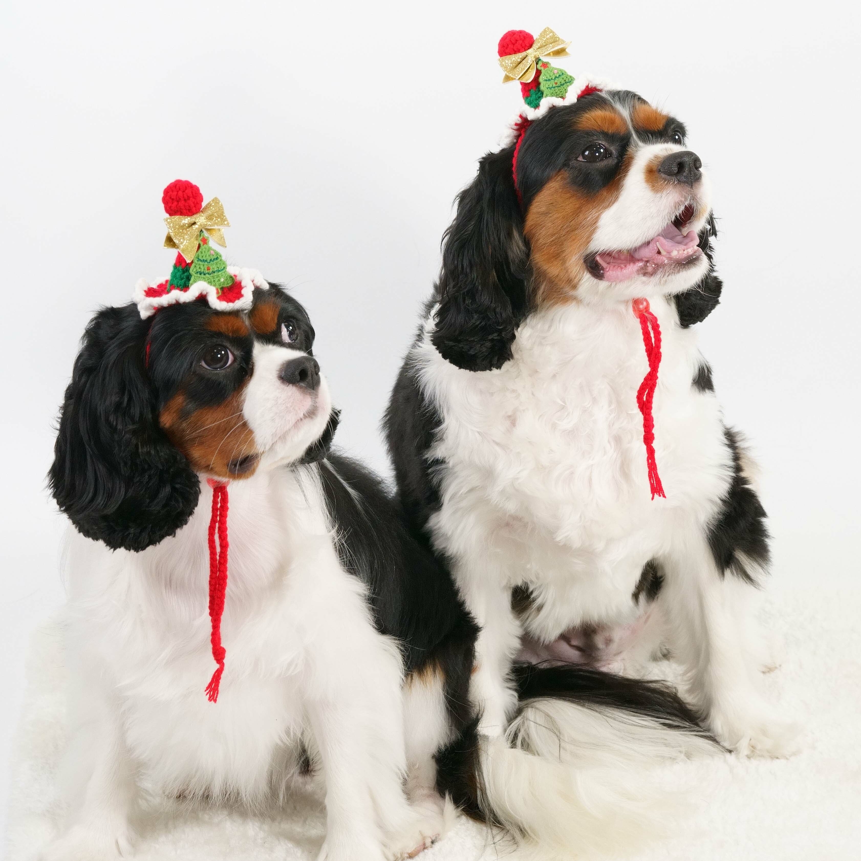 Hello Xmas Tree Hood