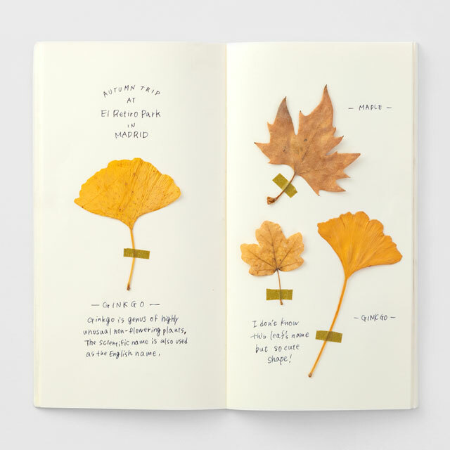 <標準> 025 MD奶油紙 - Traveler’s Notebook 旅人筆記本