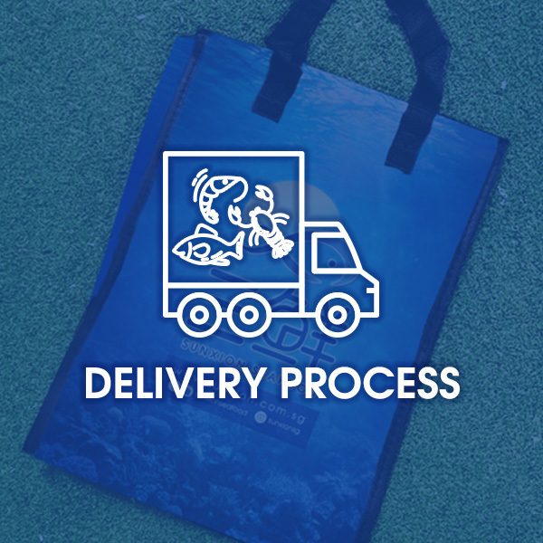 Delivery Process link