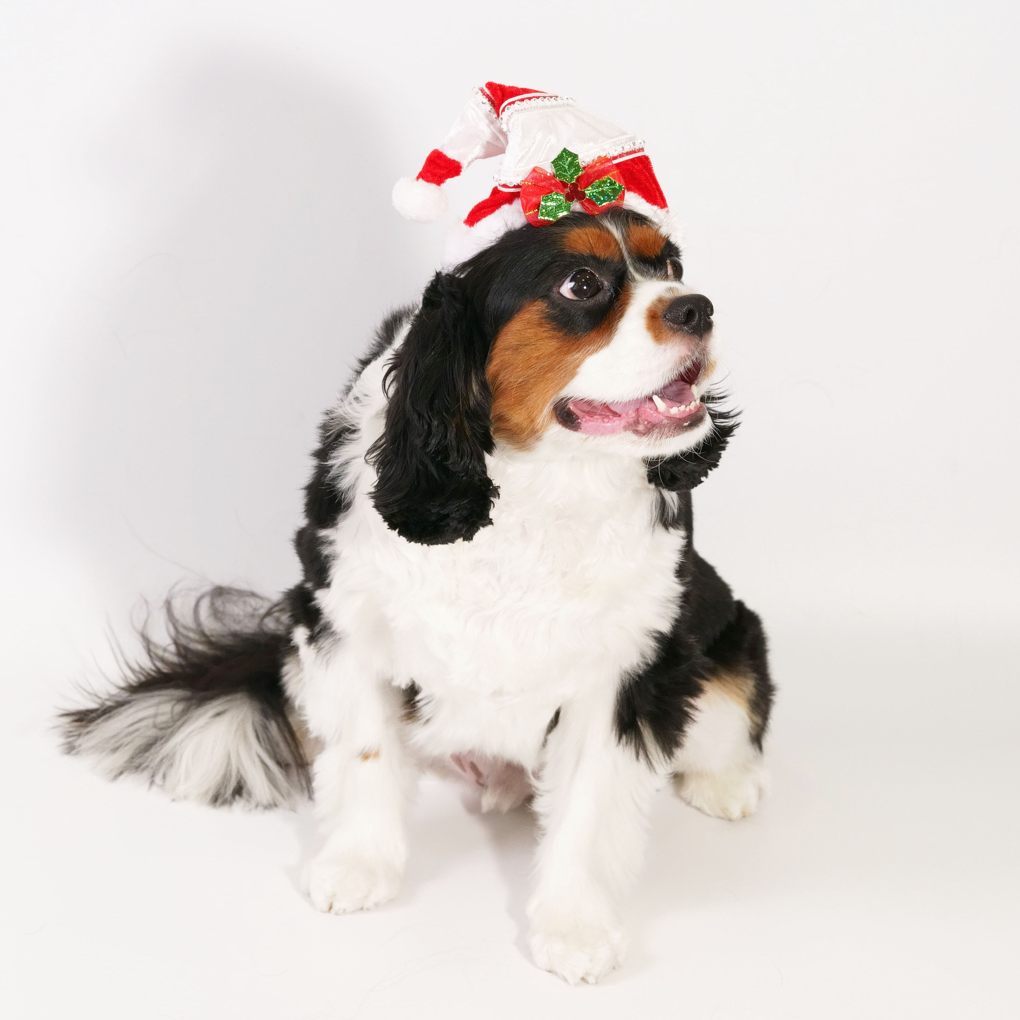 Red Ribbon With Holly Leave Christmas Hat