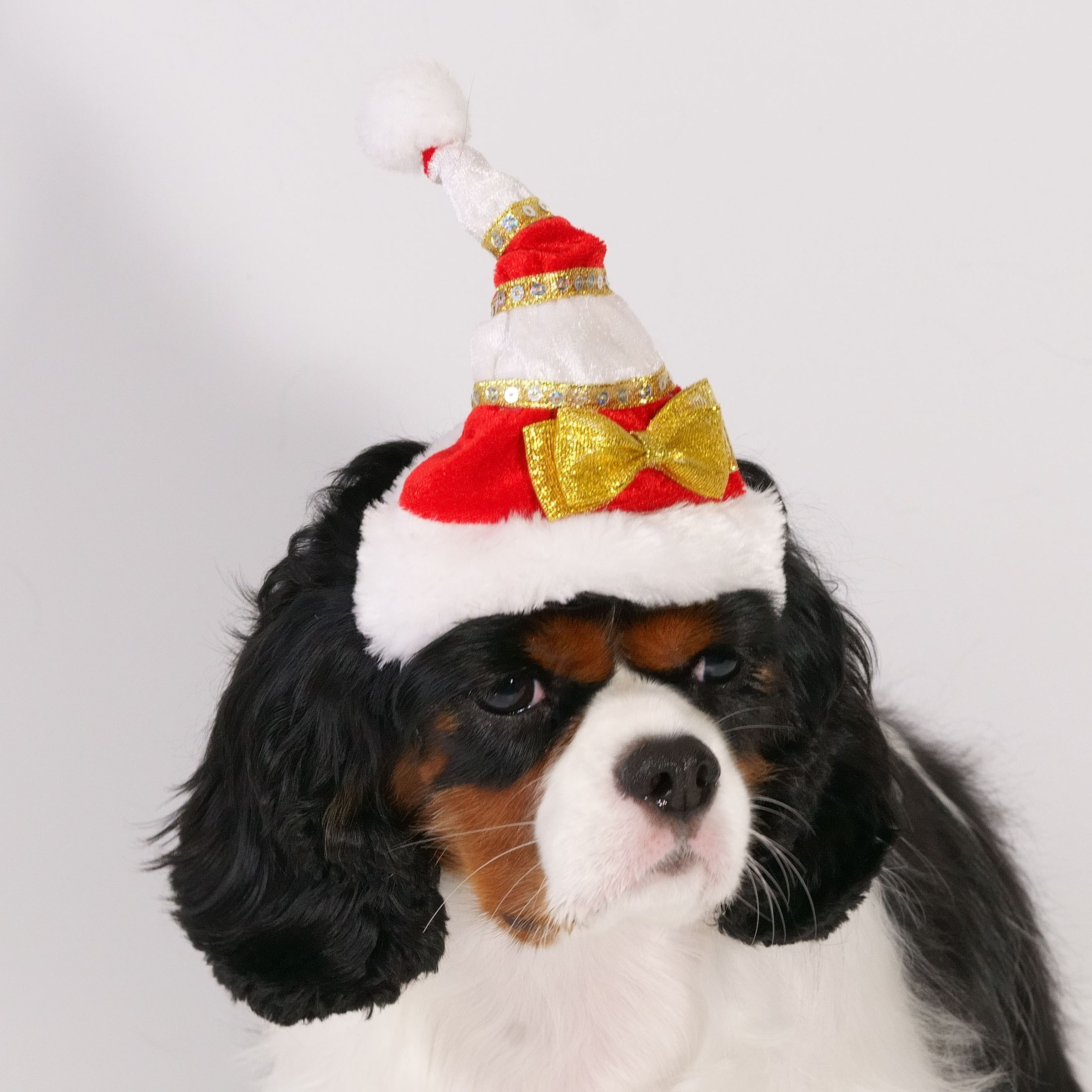Golden Ribbon Christmas Hat