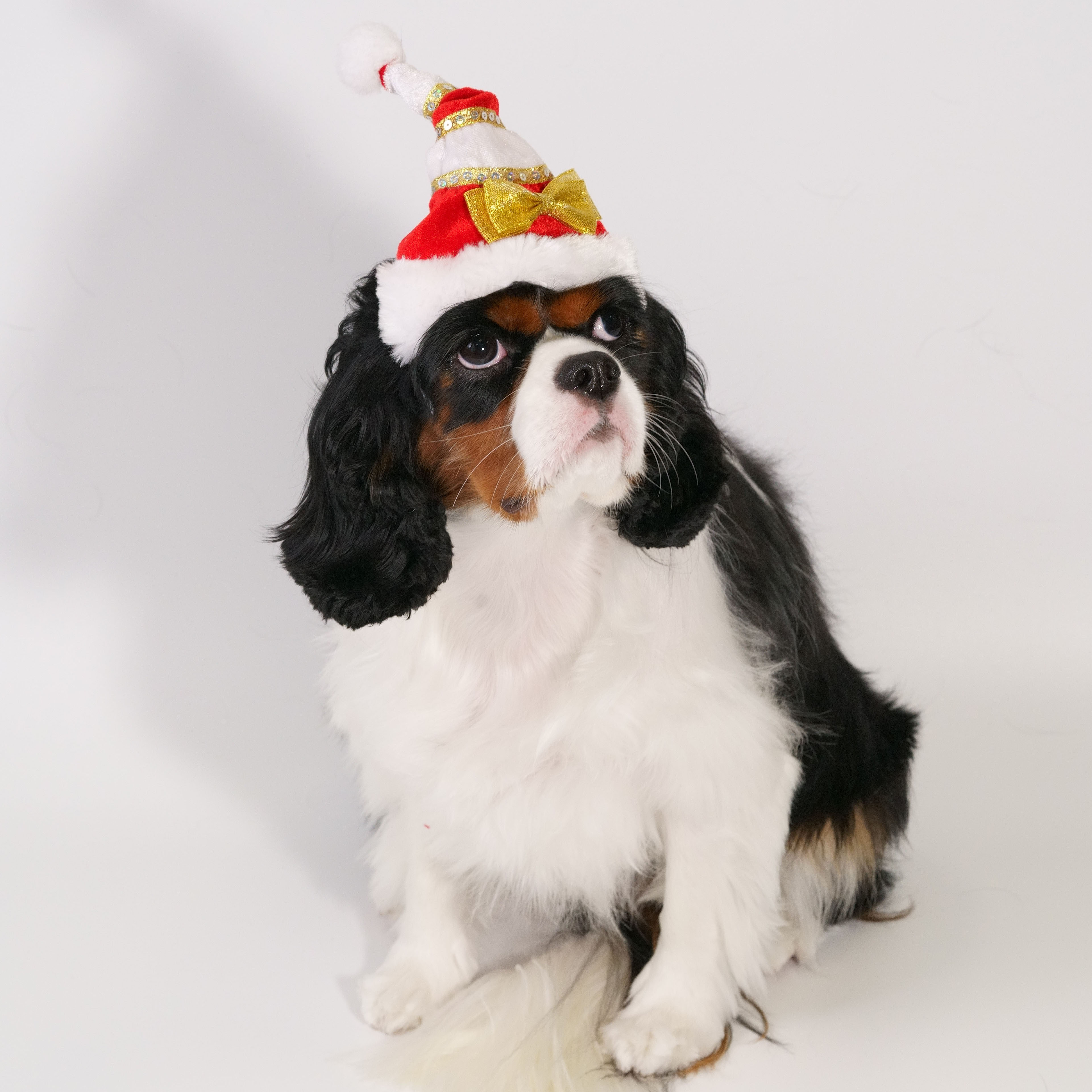 Golden Ribbon Christmas Hat