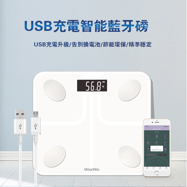 Wiseway USB 充電智能電子藍牙體脂磅 脂肪秤 人體稱 (WCF871BT)