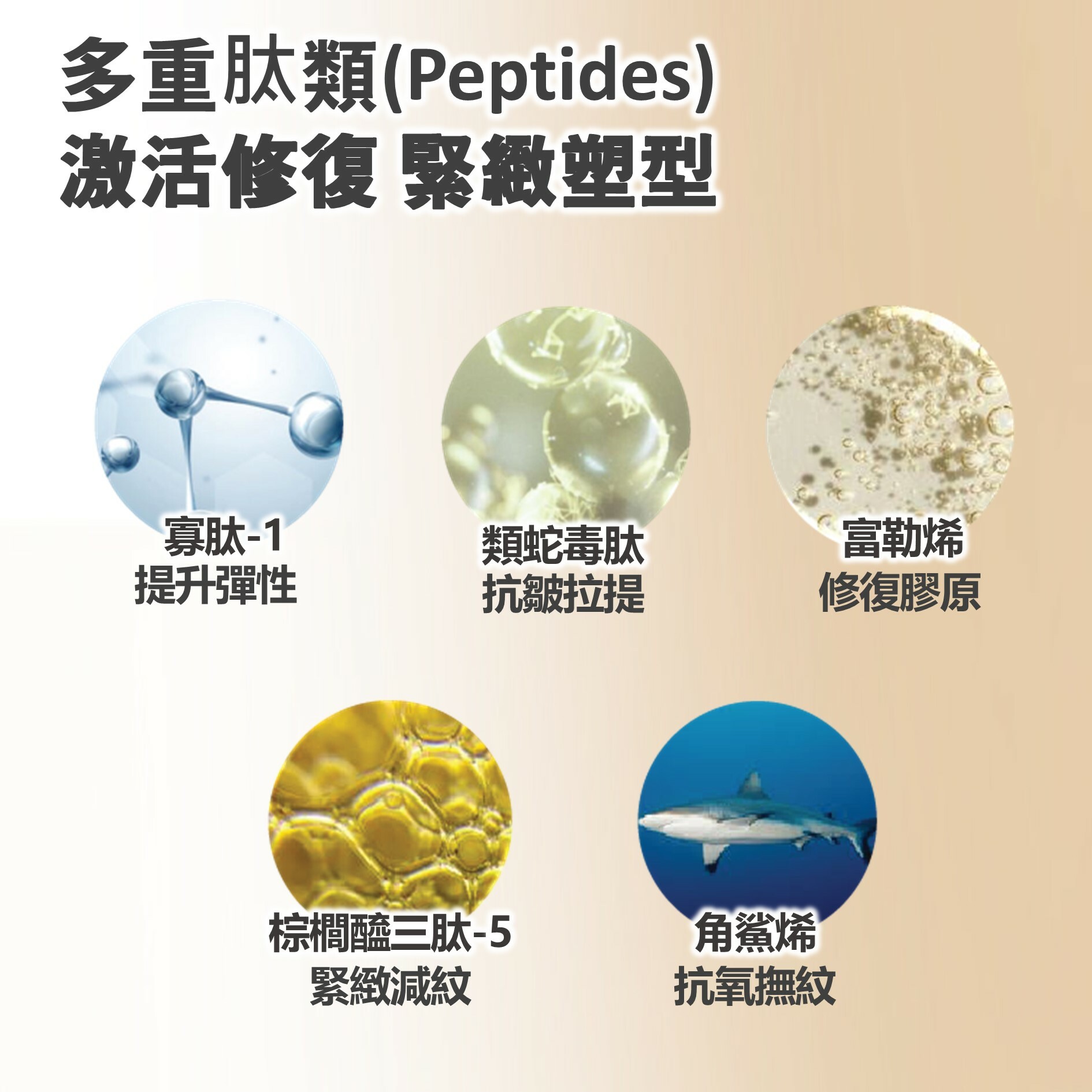 AG 膠原自保全效套裝