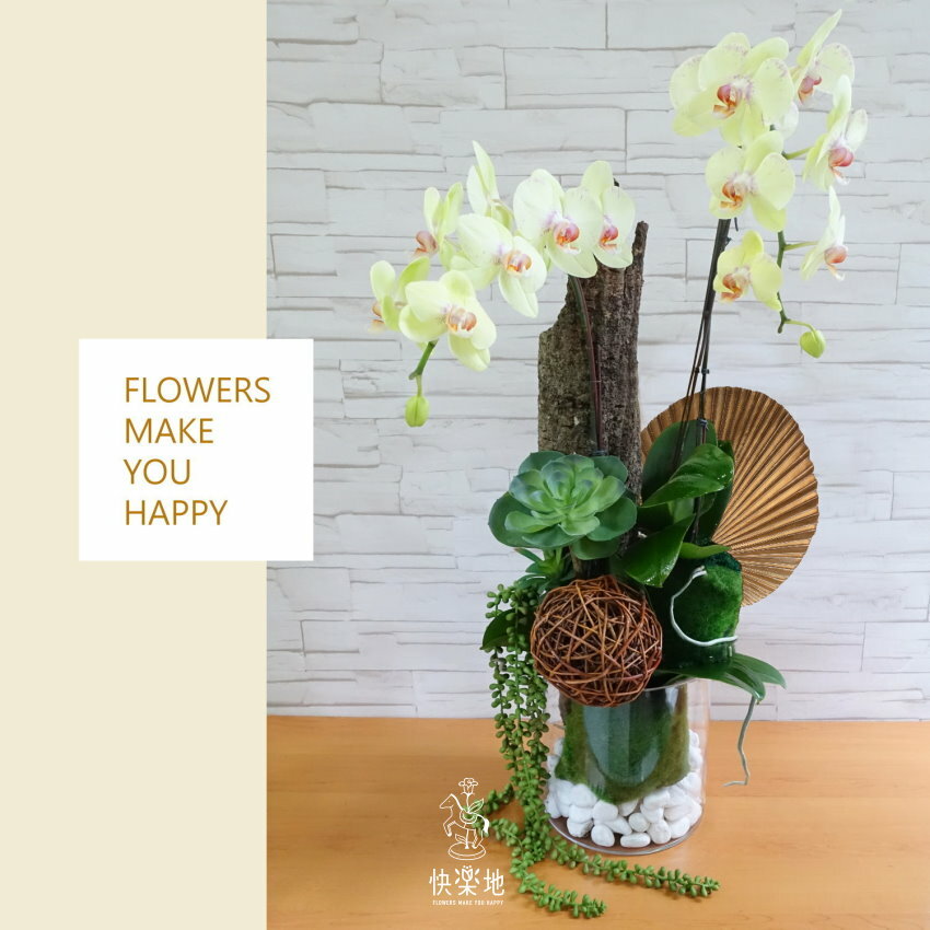 幽境花園 I 蘭花盆栽    OP190355