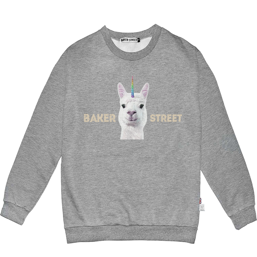 Unialpaca 彩虹獨角駝 高磅數長袖圓T