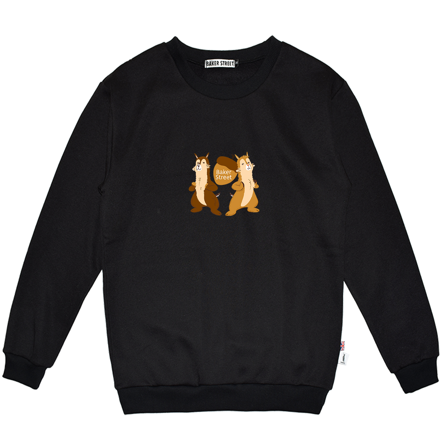 Chipmunpaca 花栗鼠駝 高磅數長袖圓T