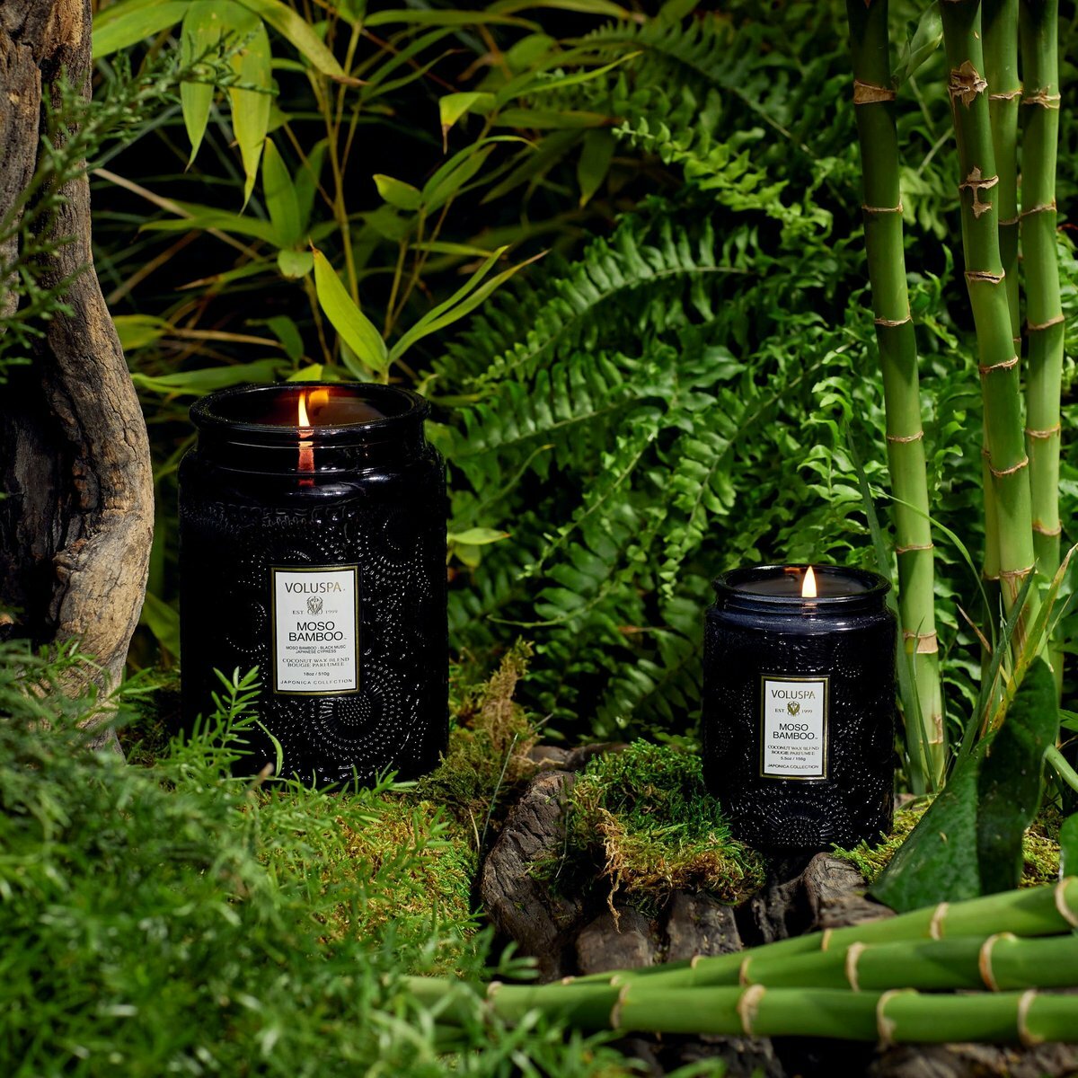 Moso Bamboo 孟宗竹 香氛蠟燭 - Voluspa