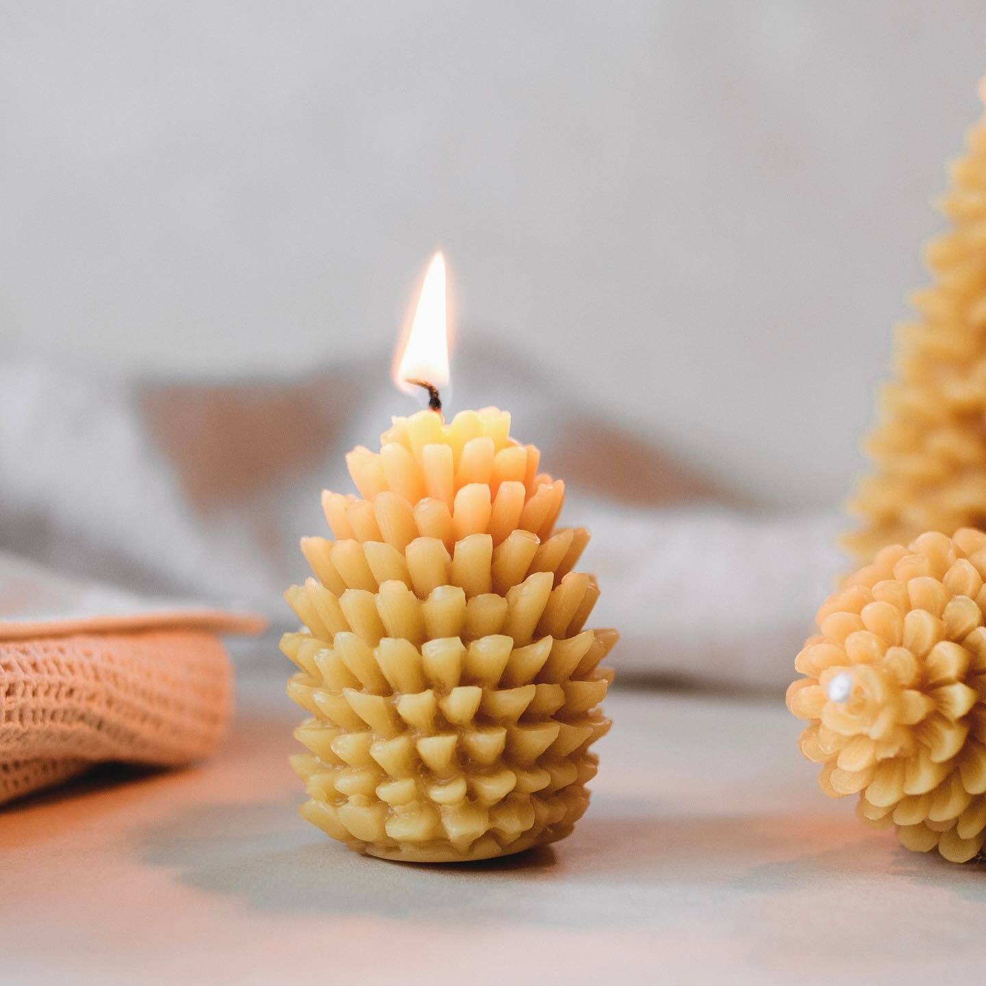 松果純蜂蠟手工蠟燭 | GOLDRICK