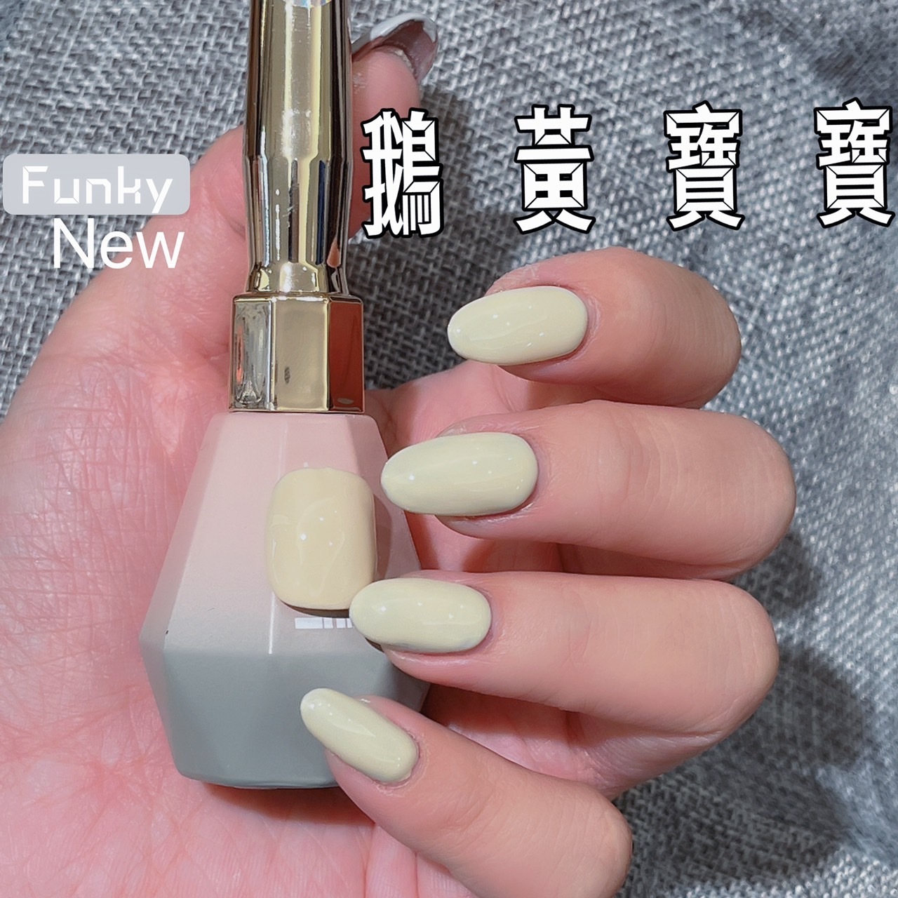 FUNKY#71鵝黃寶寶